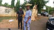 Abin mamaki: Wani Babban Sanata ya koma tallar gyada a Gwamnatin Buhari