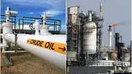 Nigeria records zero revenue from crude oil export in September despite NNPC lifting over 1 million barrels