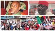 Stop supporting IPOB immediately - Okorocha WARNS Igbos