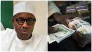 Make dollar available to whoever wants it within 48 hrs, Buhari orders banks