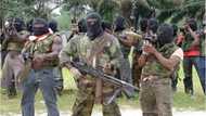 You are our enemies - Niger Deltan militants threaten to blow up homes of NASS members from the region over budget cut, hit Jonathan