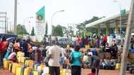 Fresh petroleum crisis looms as private depot owners increase price of fuel