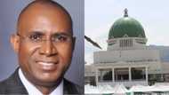 Why we voted against restructuring - Senator Omo-Agege