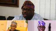 Fayose attacking Buhari with devastating blows, upper cuts at every opportunity - Dele Momodu