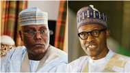 2019: Atiku in trouble as his own state endorses Buhari for re-election