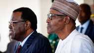 Fighting corruption in a democracy is a difficult task unlike military rule - President Buhari