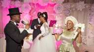 Top Nigerian Wedding Reception Jokes☺ Best part of the wedding!