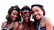 List of ethnic groups in Benue State