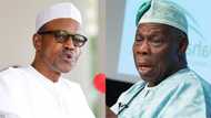 Why Nigerians should ignore Obasanjo's criticism of Buhari - APC leader in UK reveals