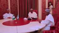 Hadamarku ta yi kamari - Shugaba Buhari ya fadawa 'yan majalisa