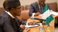 Buhari orders TETFund to inject N24bn into 12 new universities