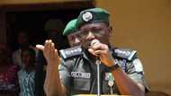 Ex-IGP Idris speaks on alleged involvement in Niger politics