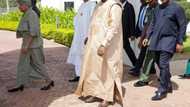 Gambia on the verge of war: Buhari, other powerful leaders to meet President Jammeh a second time