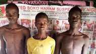 13-year-old Boko Haram fighter, his accomplices surrender, beg for forgiveness (photo)