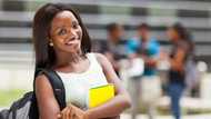 Top Adeleke university courses: Which one to choose?