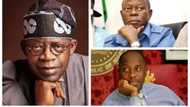 Dambarwar siyasa: An yiwa Tinubu, Oshiomhole da Amaechi wankin babban bargo
