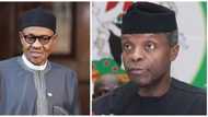 Northern group sends strong warning to CABALS, insists Osinbajo will be president if Buhari cannot continue