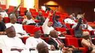 Breaking: May 29 should remain the day for inauguration - Senate insists