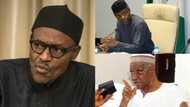 Osinbajo cannot replace Buhari in 2019 like Goodluck Jonathan did in 2011 - Northern elders insist