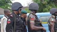 Police arrest 3 dismissed soldiers, 2 ex-navy officers, others for alleged robbery in Lagos