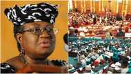 Former minister exposes National Assembly; reveals how lawmakers received N17b to pass 2015 budget