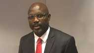After meeting with Buhari, George Weah seeks 6000 teachers from Nigeria