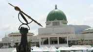 Politicians in support of Buhari allegedly planning protest at National Assembly