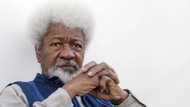 Memorable Wole Soyinka quotes on life in Africa