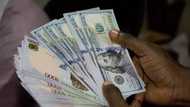 Naira ta dan girgiza a kasuwar canji