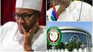 OPINION: Jammeh’s defiance, ECOWAS mistake and Buhari’s bad example