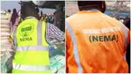 NEMA northeast boss dies in hotel room in Maiduguri