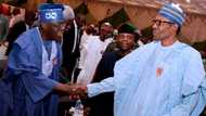 I can never leave Buhari for Atiku in 2019 - Tinubu declares
