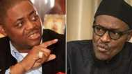 Buhari's health: Fani-Kayode says President might be dead