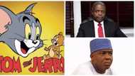 Opinion: Saraki Versus Osinbajo: The tale of Tom and Jerry! By Buchi Obichie