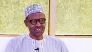 Sharri ake masa, Buhari bashi da hannu cikin kashe-kashen Benue - Matasan Benue