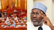 He can even change our names to anything he wants - Senate, Reps react as Jega accuses NASS of corruption