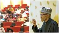 Ra’ayi: Allah ya jarabci gwamnatin talakawa na Buhari, da miyagun Sanatoci, makiya Arewa da Najeriya