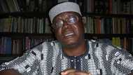 Just in: Adeyeye becomes Senate's spokesperson