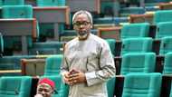 APC remains strong despite defection - Gbajabiamila
