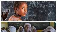 Girl child education ✍ in Nigeria: problems and prospects