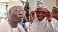 Just in: President Buhari congratulates Gani Adams on new role as Aare Ona Kakanfo, gives him tasks