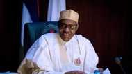 Herdsmen attacks: Benue youths exonerate Buhari from sponsoring killers, hail Buratai