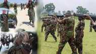 BREAKING: Massive shake-up in Nigerian Army, top officers and commanders affected (see list)