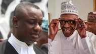 Breaking: Festus Keyamo appointed as spokesperson for 2019 Buhari campaign (see appointment letter)