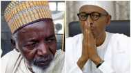 Buhari is not different from Jonathan, he cannot help Nigeria - Balarabe Musa speaks