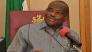 Why Wike still hates Buhari, Amaechi - Rivers APC