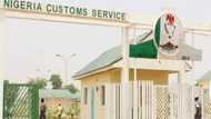 Massive shakeup as Nigeria Customs fires 48 senior officers