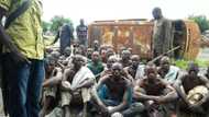 Nigerian army hands over 760 Boko Haram suspects to Borno state