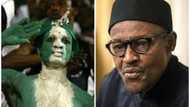 ALL Nigerians must support Buhari to deliver us from 'sharks' - Analyst