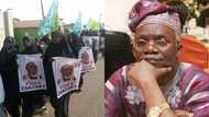 Falana criticises FG over handling of recent clash between Shi’ite group and police in Abuja